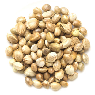 Hemp Seed Oil