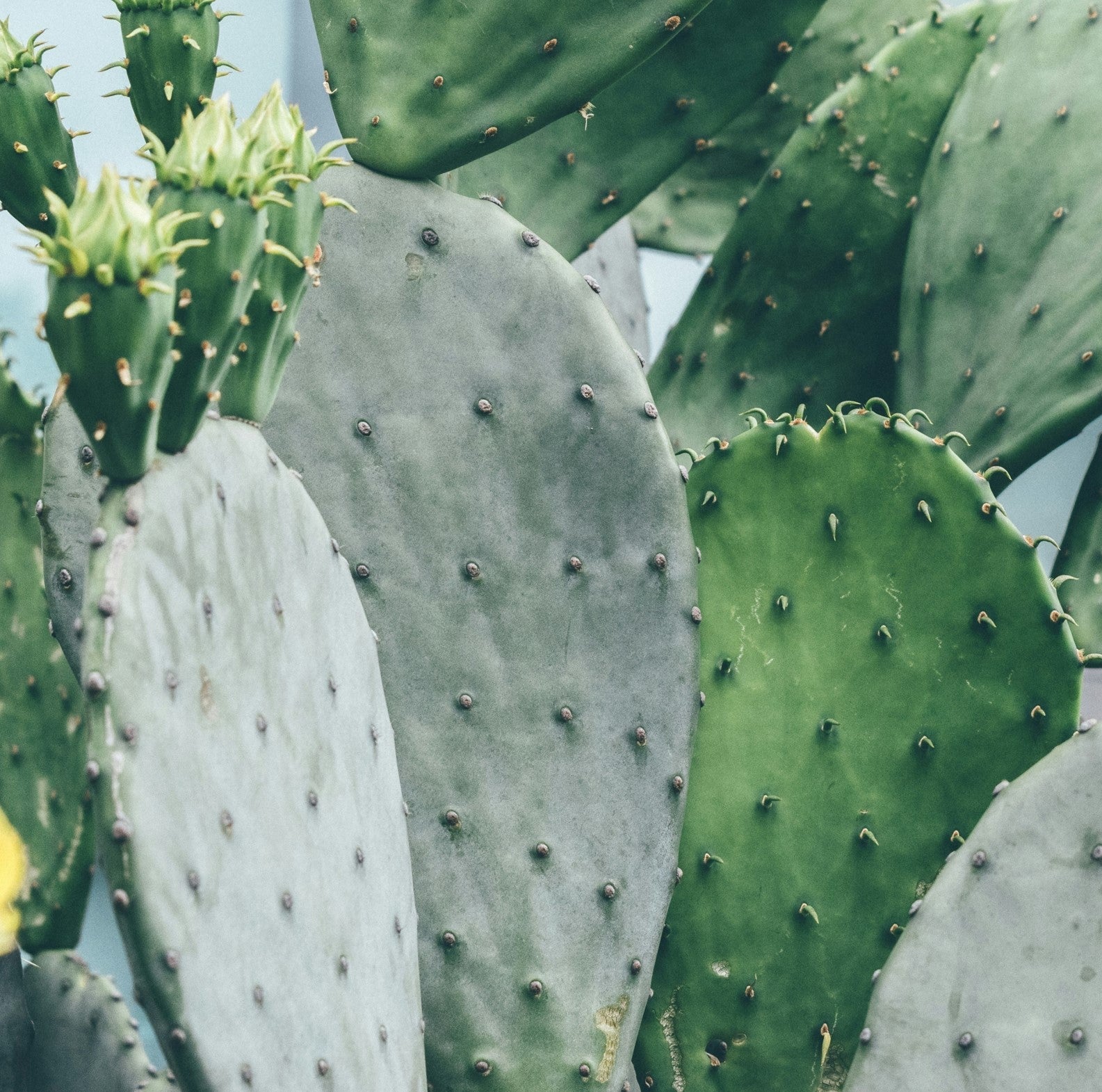 Clean Beauty Brands That Actually Deliver Results