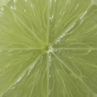 Amla Fruit Extract
