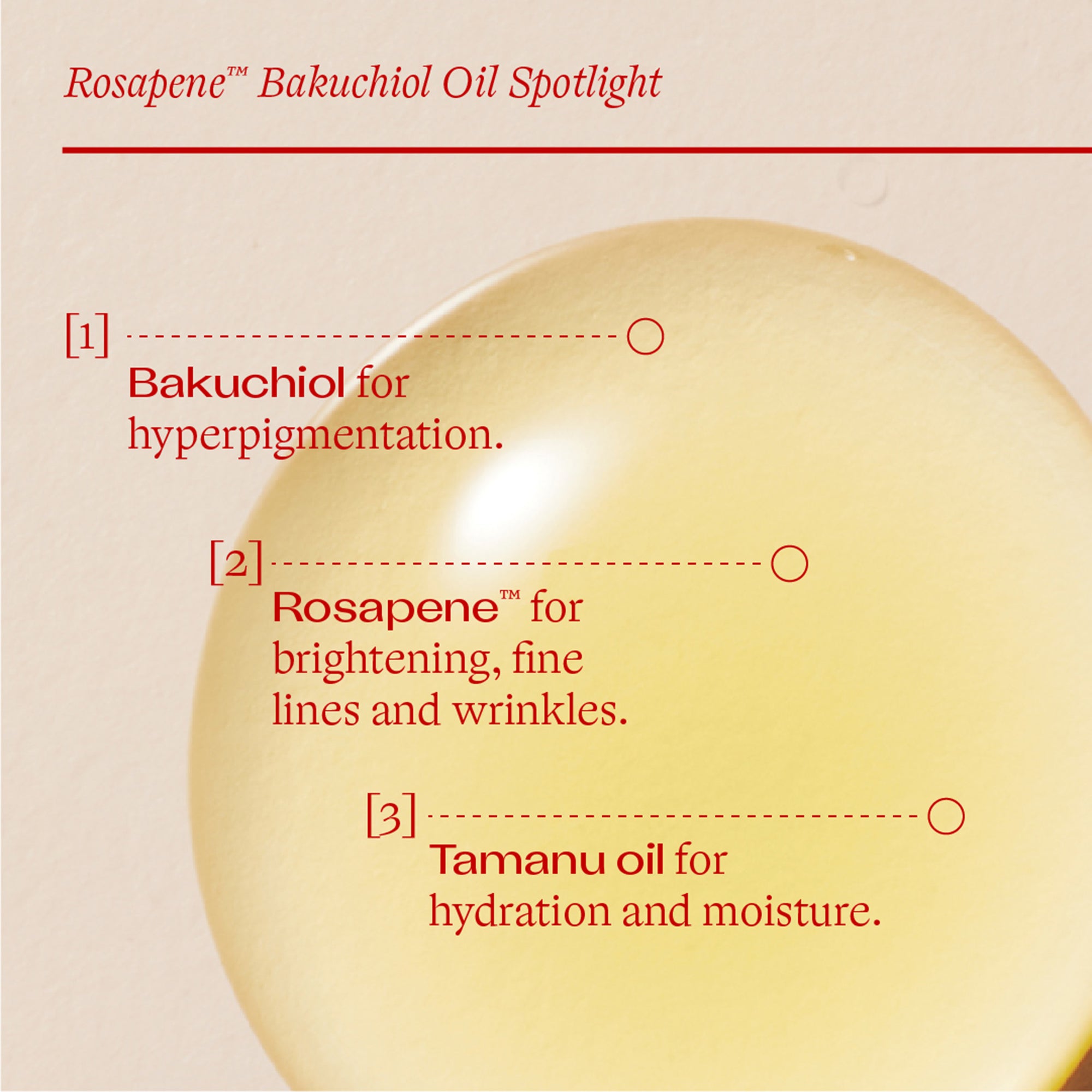 Rosapene™ Bakuchiol Oil, 1.0 fl oz